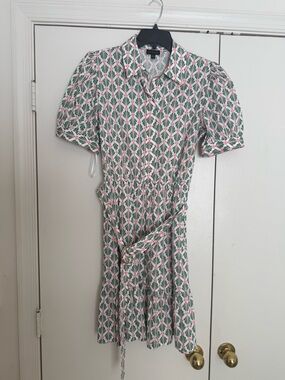 The Limited Pink & Green Geometric Floral Shirt Dress